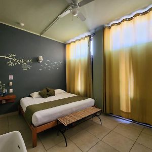 Hotel Plaza Queretaro